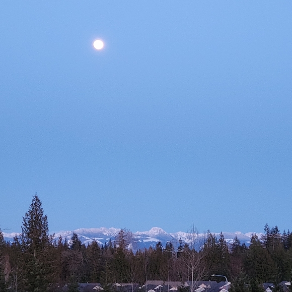 Meet your Posher, Mary - Picture 8 of 12